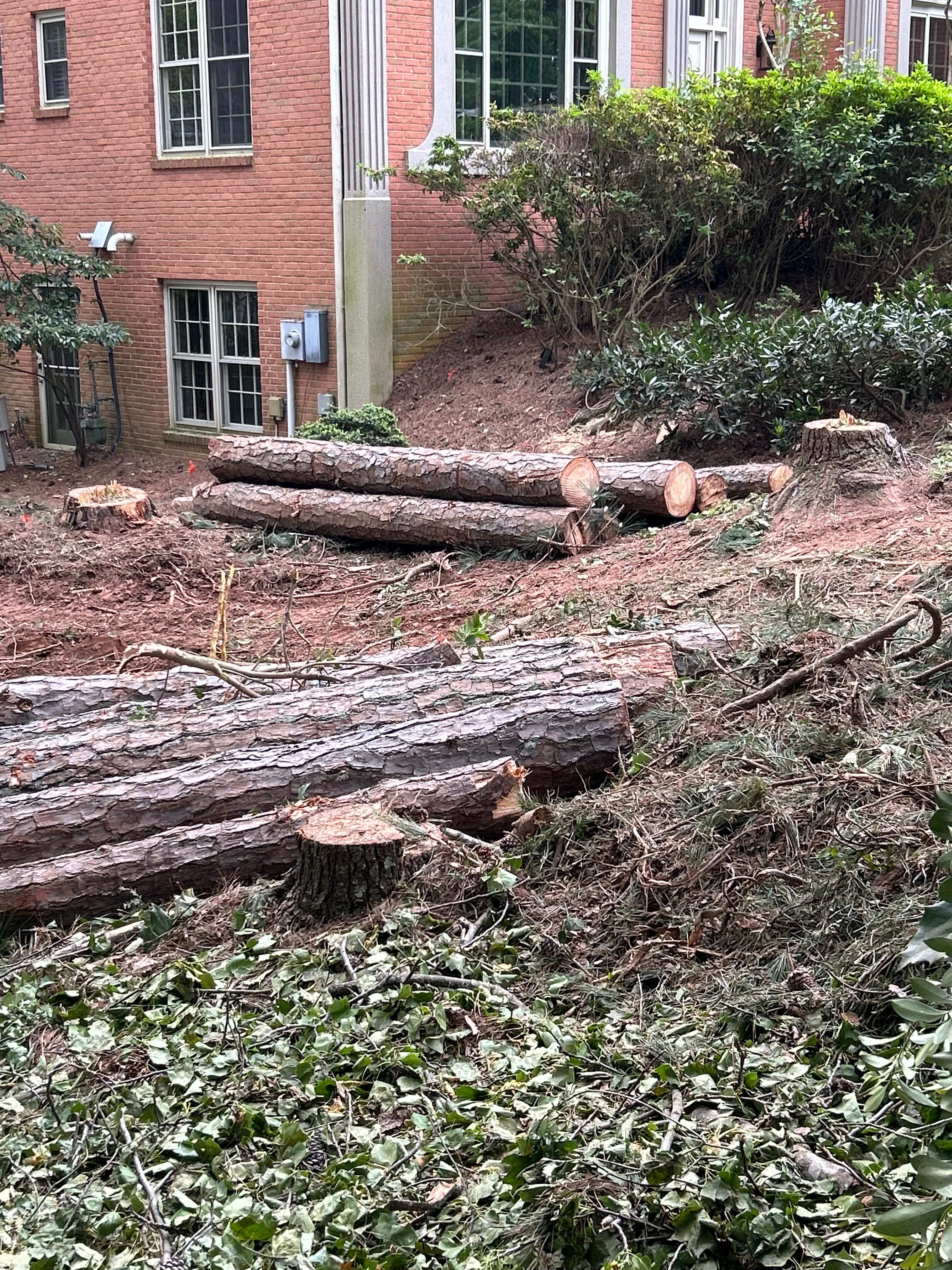 Expert tree removal services in Johns Creek and Alpharetta area